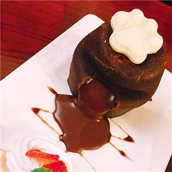 小世界貓主題西餐廳 當精致餐飲遇見溫暖陪伴